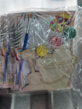 12 Pack Paint Your Own Kits